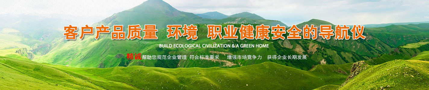 濰坊精誠檢測技術有限公司